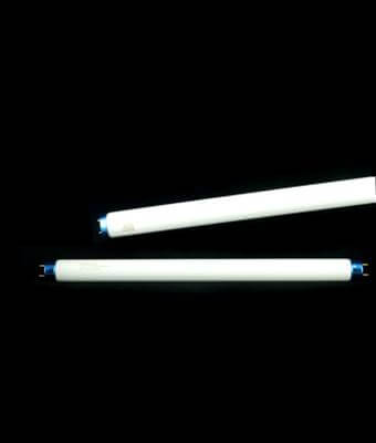 Fluorescent T8 (Standard)