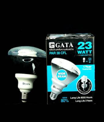 PAR 38 CFL
