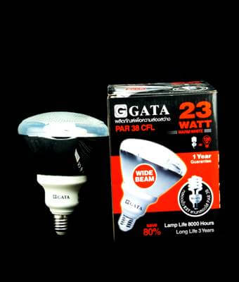 PAR 38 CFL