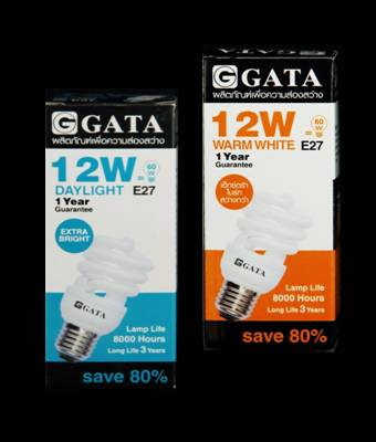 Compact Fluorescent Lamp Spiral (TOS)