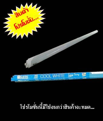 หลอดนีออน LED  T8