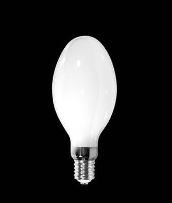 High Pressure Sodium Lamp, bowling